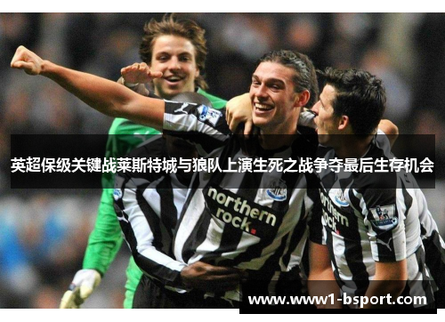 英超保级关键战莱斯特城与狼队上演生死之战争夺最后生存机会 英超保级关键战莱斯特城与狼队上演生死之战争夺最后生存机会